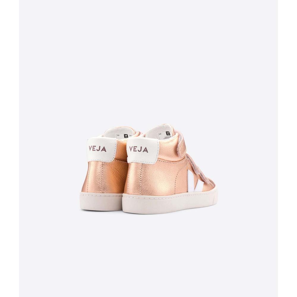 Veja ESPLAR MID CHROMEFREE Sko Barn Gull | NO 738EBC